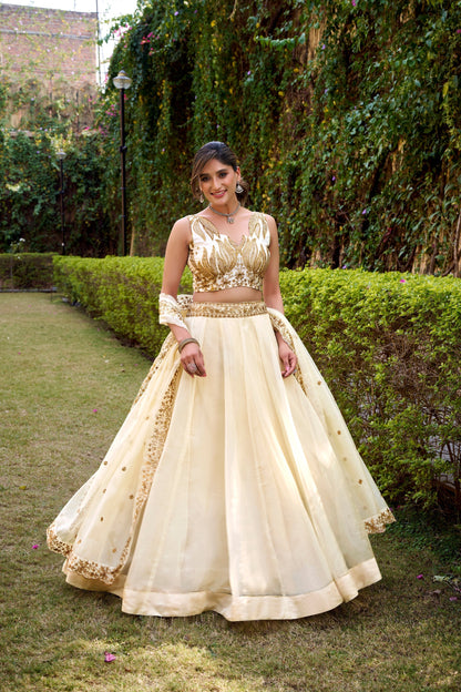 WEDDING SPECIAL CHANDA SILK SEQUINS AND THREAD EMBROIDERED LEHENGA CHOLI WITH DUPATTA (TT08)
